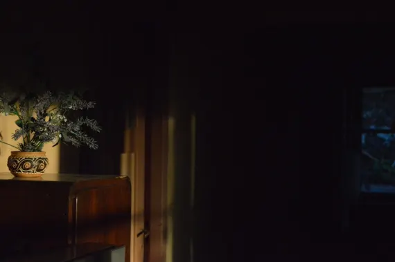 Trada Casino Kundeservice